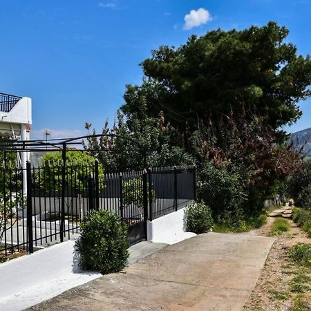 Μονοκατοικία Δίπλα Στην Θάλασσα Salamís Eksteriør billede